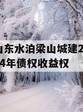 山东水泊梁山城建2024年债权收益权