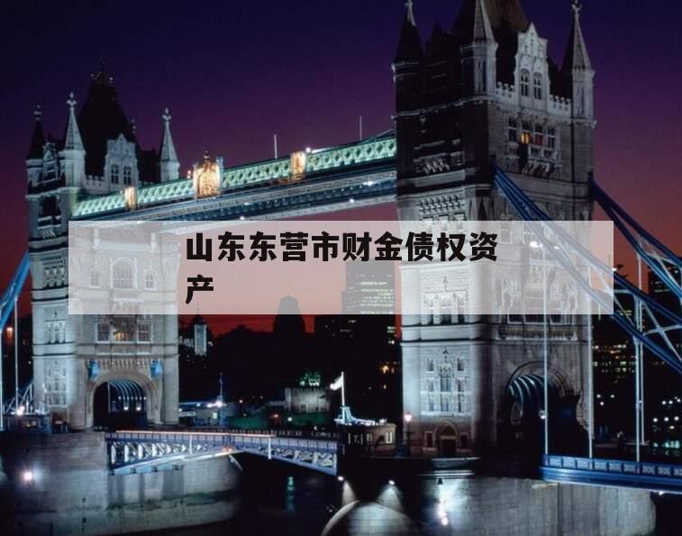 山东东营市财金债权资产