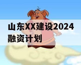 山东XX建设2024融资计划