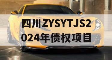 四川ZYSYTJS2024年债权项目
