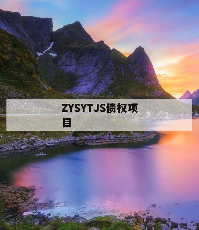 ZYSYTJS债权项目