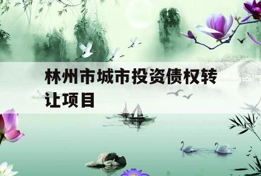 林州市城市投资债权转让项目