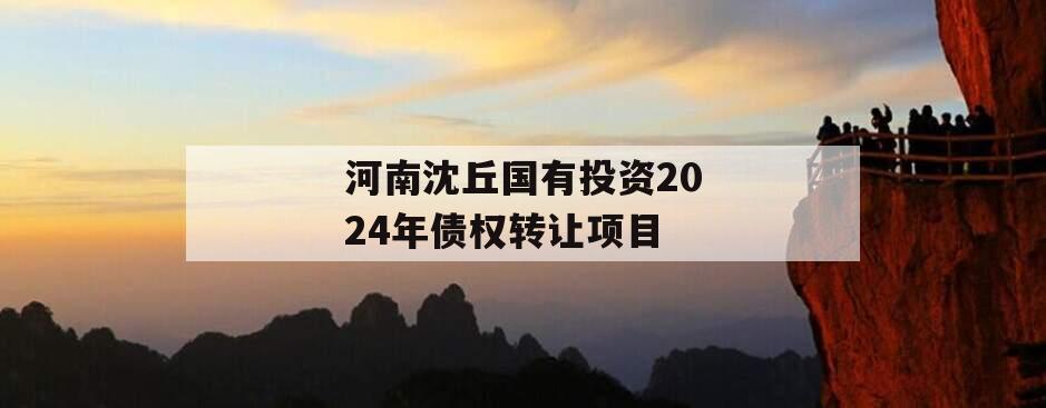 河南沈丘国有投资2024年债权转让项目