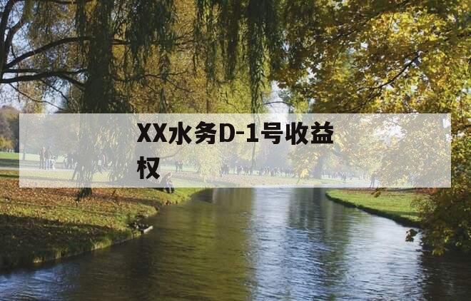 XX水务D-1号收益权