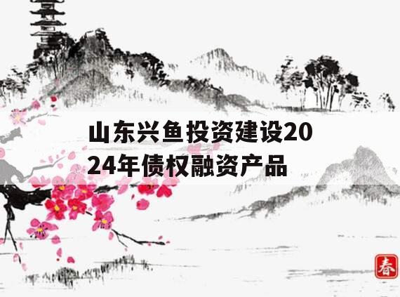 山东兴鱼投资建设2024年债权融资产品