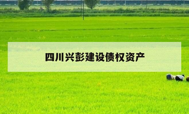 四川兴彭建设债权资产