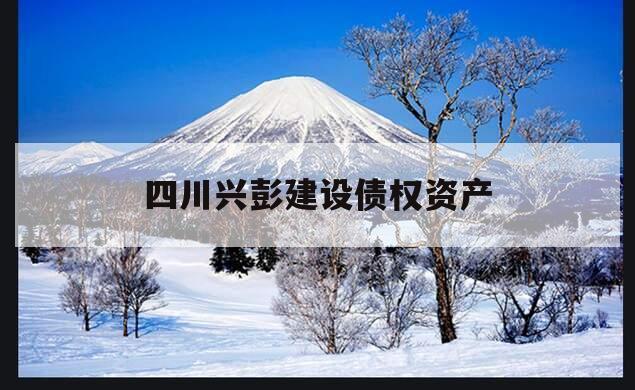 四川兴彭建设债权资产