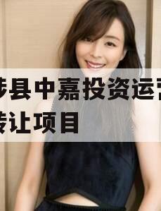 武陟县中嘉投资运营债权转让项目