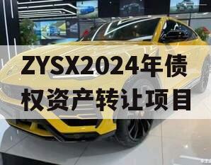 ZYSX2024年债权资产转让项目