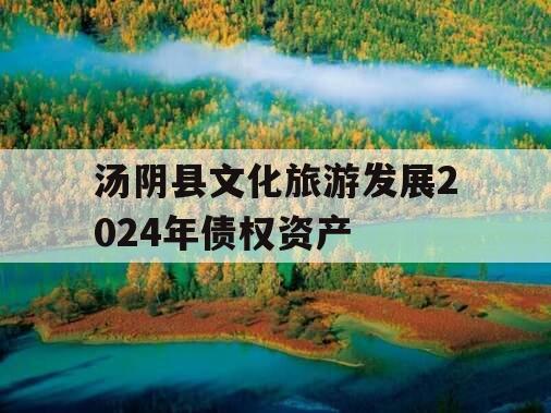 汤阴县文化旅游发展2024年债权资产