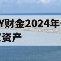 DY财金2024年债权资产