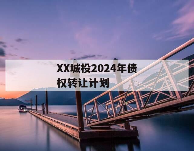 XX城投2024年债权转让计划