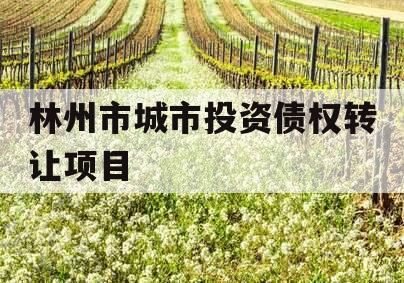 林州市城市投资债权转让项目