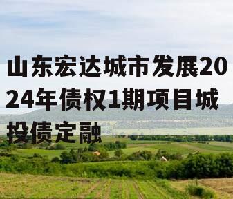山东宏达城市发展2024年债权1期项目城投债定融