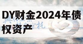 DY财金2024年债权资产