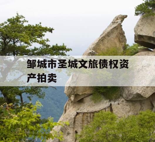邹城市圣城文旅债权资产拍卖