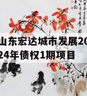 山东宏达城市发展2024年债权1期项目