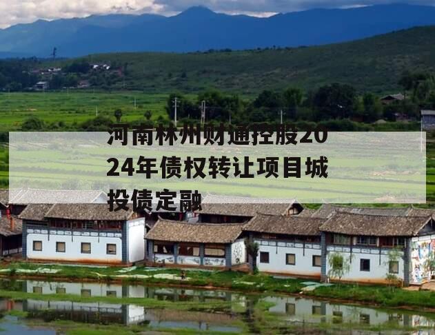 河南林州财通控股2024年债权转让项目城投债定融