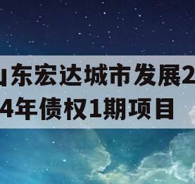 山东宏达城市发展2024年债权1期项目