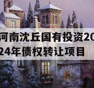 河南沈丘国有投资2024年债权转让项目