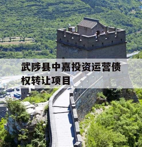 武陟县中嘉投资运营债权转让项目