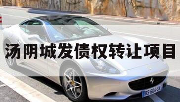汤阴城发债权转让项目