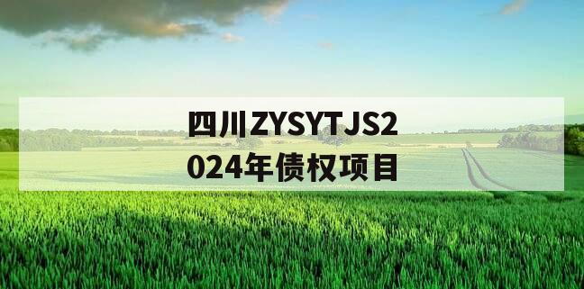 四川ZYSYTJS2024年债权项目