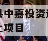 武陟县中嘉投资运营债权转让项目