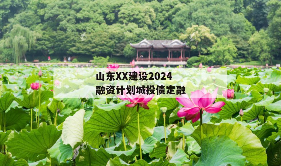 山东XX建设2024融资计划城投债定融
