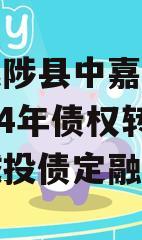 河南武陟县中嘉投资运营2024年债权转让项目城投债定融