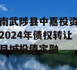 河南武陟县中嘉投资运营2024年债权转让项目城投债定融