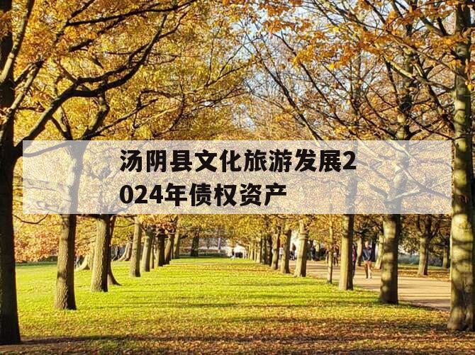 汤阴县文化旅游发展2024年债权资产