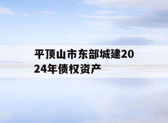 平顶山市东部城建2024年债权资产
