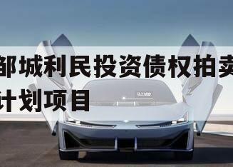 邹城利民投资债权拍卖计划项目