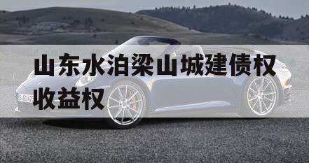 山东水泊梁山城建债权收益权