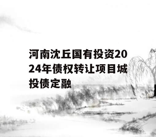 河南沈丘国有投资2024年债权转让项目城投债定融