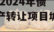 ZYSX2024年债权资产转让项目城投债定融