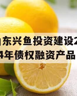 山东兴鱼投资建设2024年债权融资产品