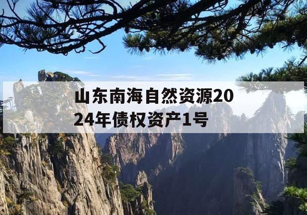 山东南海自然资源2024年债权资产1号