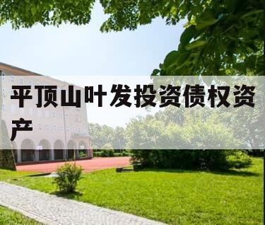 平顶山叶发投资债权资产 平顶山叶发投资债权资产