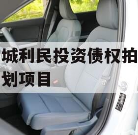 邹城利民投资债权拍卖计划项目