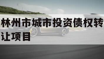 林州市城市投资债权转让项目