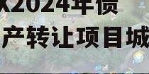 ZYSX2024年债权资产转让项目城投债定融