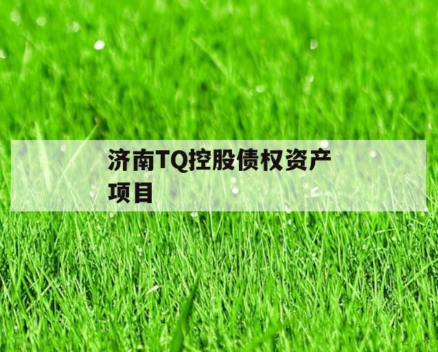 济南TQ控股债权资产项目