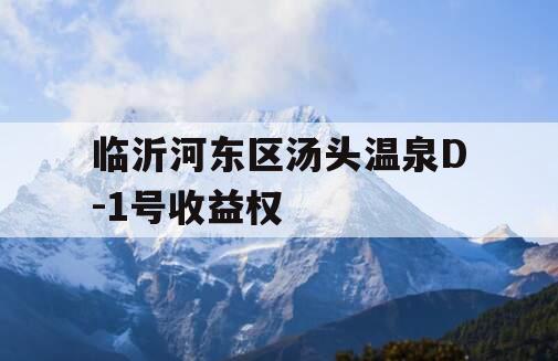 临沂河东区汤头温泉D-1号收益权