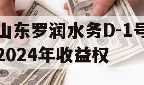 山东罗润水务D-1号2024年收益权