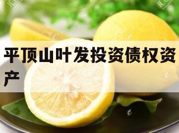 平顶山叶发投资债权资产 平顶山叶发投资债权资产