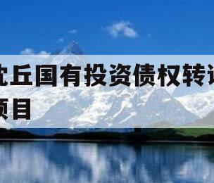 沈丘国有投资债权转让项目