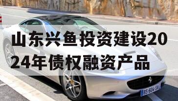 山东兴鱼投资建设2024年债权融资产品