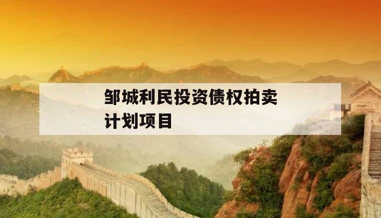 邹城利民投资债权拍卖计划项目 邹城利民投资债权拍卖计划项目